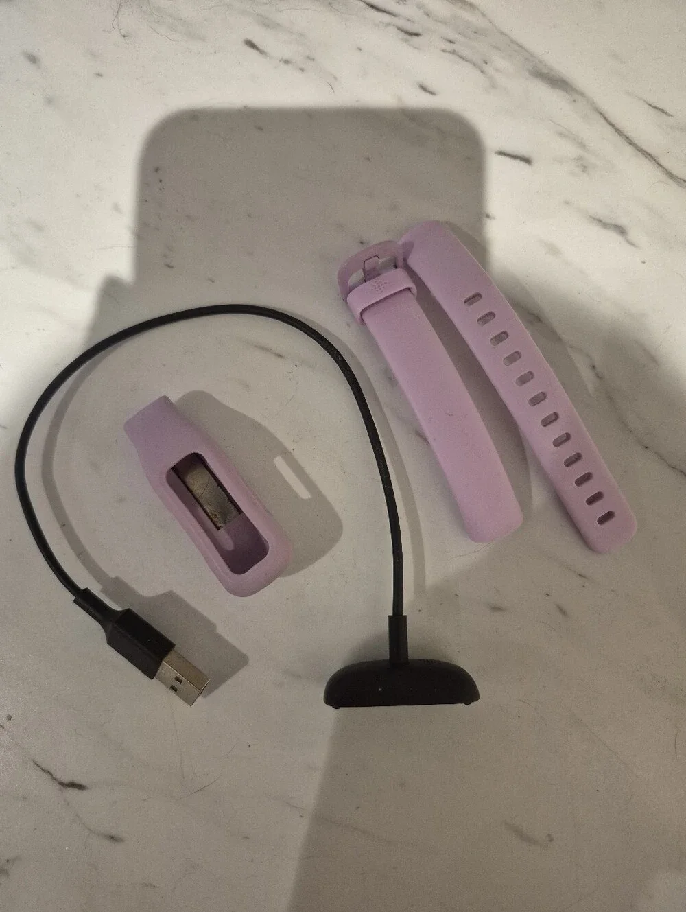 Fitbit Fitness Tracker with Mesh Band - Silver